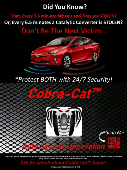 Cobra Cat Security
